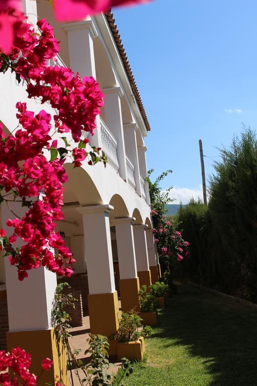 Apartamentos Bolonia Paraiso المظهر الخارجي الصورة